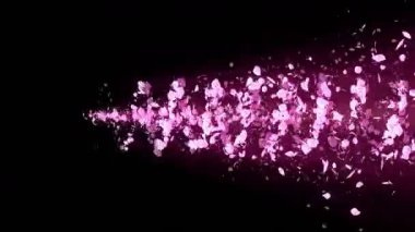 Cherry Blossoms spiral parlak parçacık. Sakura deseni. Japon kiraz dansı. Pembe yaprakları Vortex. Soyut döngü animasyonu.