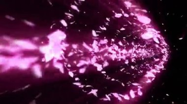 Cherry Blossoms spiral parlak parçacık. Sakura deseni. Japon kiraz dansı. Pembe yaprakları Vortex. Soyut döngü animasyonu.