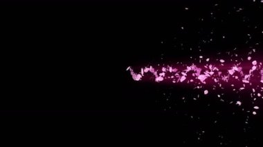 Cherry Blossoms spiral parlak parçacık. Sakura deseni. Japon kiraz dansı. Pembe yaprakları Vortex. Soyut döngü animasyonu.