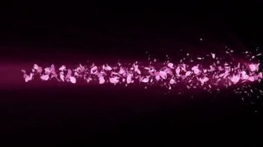 Cherry Blossoms spiral parlak parçacık. Sakura deseni. Japon kiraz dansı. Pembe yaprakları Vortex. Soyut döngü animasyonu.