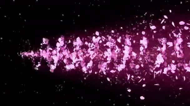 Espiral Partícula Brillante Flores Cerezo Patrón Sakura Baile Japonés Cereza — Vídeo de stock