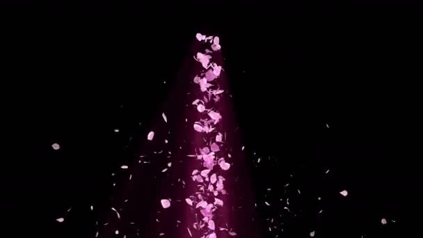 Espiral Partícula Brillante Flores Cerezo Patrón Sakura Baile Japonés Cereza — Vídeo de stock