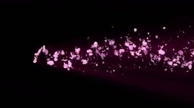 Cherry Blossoms spiral parlak parçacık. Sakura deseni. Japon kiraz dansı. Pembe yaprakları Vortex. Soyut döngü animasyonu.