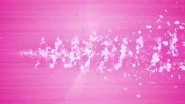 Cherry Blossoms spiral parlak parçacık. Sakura deseni. Japon kiraz dansı. Pembe yaprakları Vortex. Soyut döngü animasyonu.