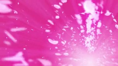 Cherry Blossoms spiral parlak parçacık. Sakura deseni. Japon kiraz dansı. Pembe yaprakları Vortex. Soyut döngü animasyonu.