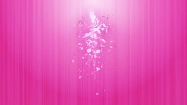 Cherry Blossoms spiral parlak parçacık. Sakura deseni. Japon kiraz dansı. Pembe yaprakları Vortex. Soyut döngü animasyonu.
