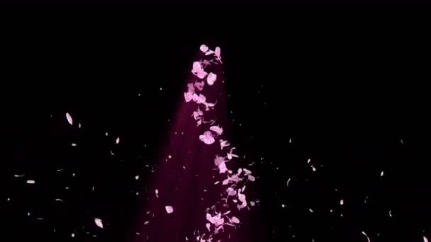 Espiral Partícula Brillante Flores Cerezo Patrón Sakura Baile Japonés Cereza — Vídeo de stock