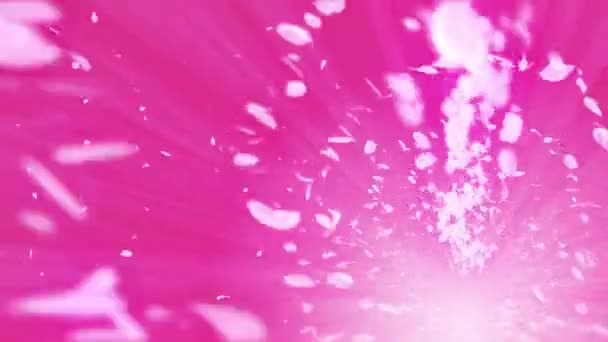 Particule Brillante Spirale Fleurs Cerisier Modèle Sakura Danse Japonaise Cerise — Video