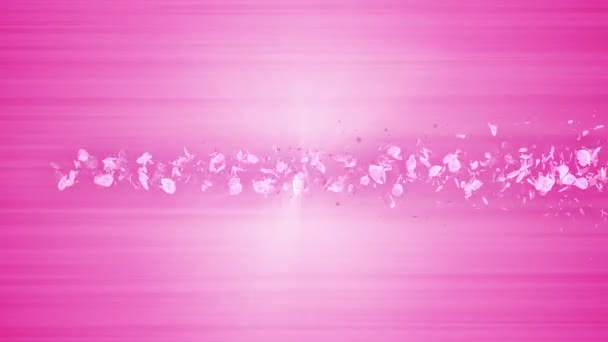 Spiral Shiny Particle Cherry Blossoms Sakura Pattern Japanese Cherry Dancing — Stock Video