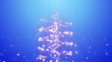 Cherry Blossoms spiral parlak parçacık. Sakura deseni. Japon kiraz dansı. Pembe yaprakları Vortex. Soyut döngü animasyonu.