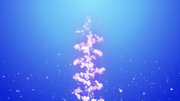 Espiral Partícula Brilhante Flores Cereja Padrão Sakura Dança Cereja Japonesa — Vídeo de Stock