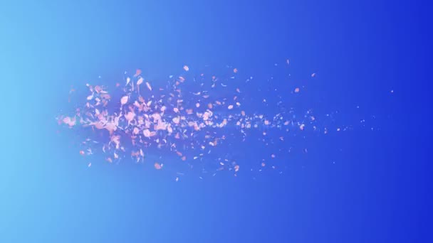 Спиральная Блестящая Частица Цветущей Вишни Шаблон Сакуры Японские Вишни Вихрь — стоковое видео