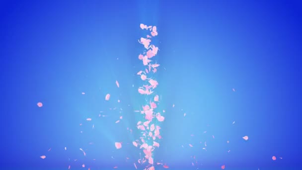 벚꽃의 나선형 빛나는 사쿠라 패턴입니다 일본의 분홍색 꽃잎에서 소용돌이 애니메이션 — 비디오