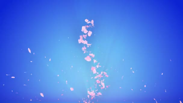 Espiral Partícula Brillante Flores Cerezo Patrón Sakura Baile Japonés Cereza — Vídeo de stock