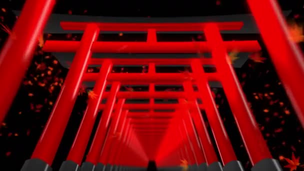 Röda Torii Gates Japan Torii Gates Helgedom Shrine Tunnel Loop — Stockvideo