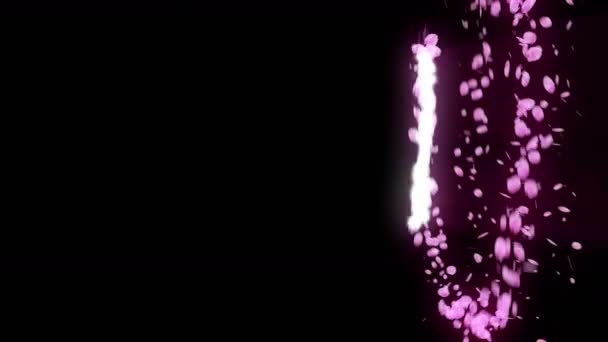 Spin Van Kersenbloesems Cherry Voorjaar Bloem Achtergrond Petal Confetti Animatie — Stockvideo