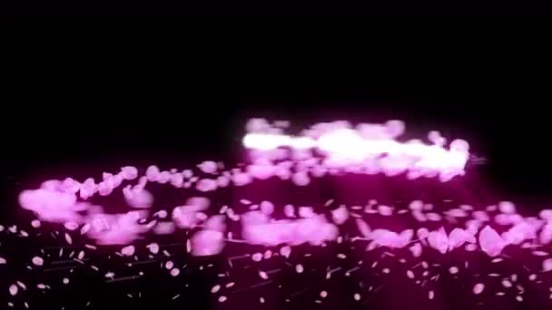 Giro Flores Cereja Fundo Flor Cereja Primavera Animação Confetes Pétalas — Vídeo de Stock