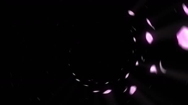 樱花的旋转 樱桃春花背景 Cg花瓣循环动画 日本文化 — 图库视频影像