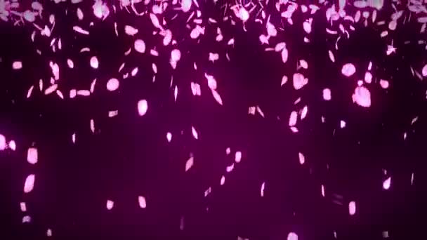 Des Pétales Cerisier Tombent Confettis Aux Pétales Animation Boucle Fleur — Video
