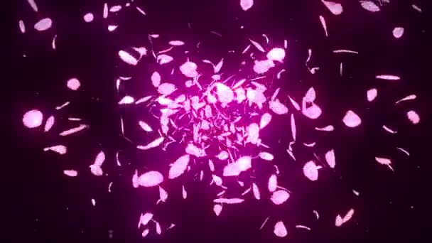 Cherry Blossom Bloemblaadjes Vallen Petal Confetti Loop Animatie Lente Bloem — Stockvideo