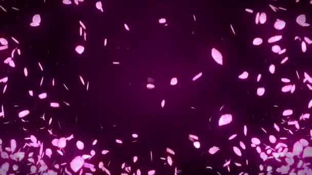 Cherry Blossom Bloemblaadjes Vallen Petal Confetti Loop Animatie Lente Bloem — Stockvideo