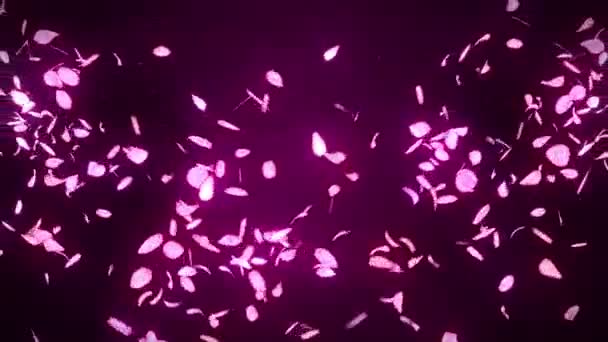 Pétalos Flor Cerezo Cayendo Confeti Pétalos Animación Loop Flor Primavera — Vídeos de Stock