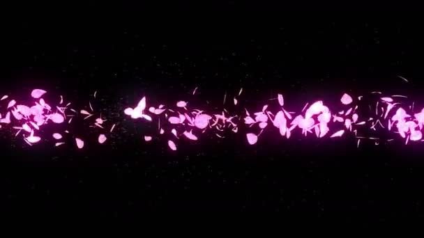 Cherry Blossom Petals Falling Petal Confetti Loop Animation Spring Flower — Stock Video