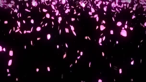 Cherry Blossom Bloemblaadjes Vallen Petal Confetti Loop Animatie Lente Bloem — Stockvideo