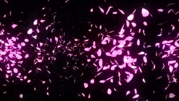 Cherry Blossom Bloemblaadjes Vallen Petal Confetti Loop Animatie Lente Bloem — Stockvideo