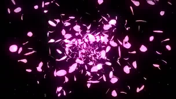 Cherry Blossom Petals Falling Petal Confetti Loop Animation Spring Flower — Stock Video