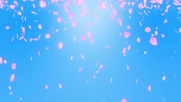 Вишня Цвітіння Пелюсток Падіння Пелюстка Конфетті Цикліку Анімації Весняна Квітка — стокове відео
