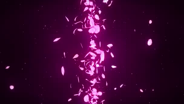 Kirschblütenblätter Fallen Blütenblätterkonfetti Schleifenanimation Frühlingsblume Japanische Kultur — Stockvideo