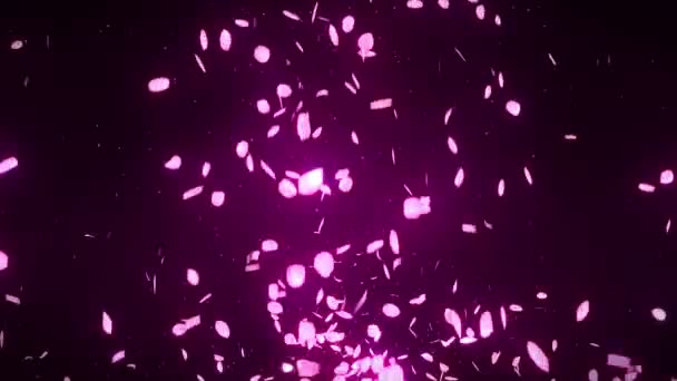Cherry Blossom Bloemblaadjes Vallen Petal Confetti Loop Animatie Lente Bloem — Stockvideo