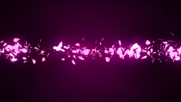 Cherry Blossom Petals Falling Petal Confetti Loop Animation Spring Flower — Stock Video