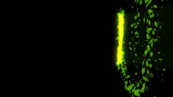 Вращение Падающего Листа Зеленый Летний Лист Фона Конфетти Анимация — стоковое видео