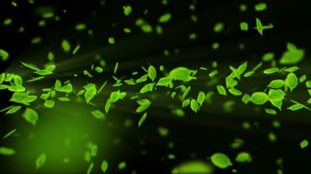 落ちる葉のスピン 緑の夏の葉の背景 葉の紙吹雪Cg ループ アニメーション — ストック動画