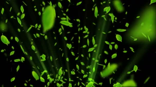 Вращение Падающего Листа Зеленый Летний Лист Фона Конфетти Листьев Анимация — стоковое видео