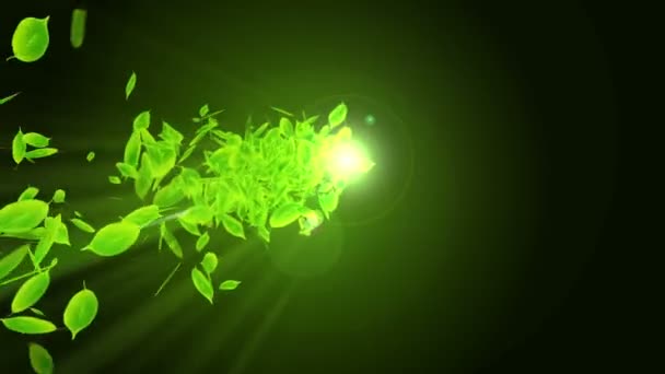 落叶的旋转 绿色夏叶背景 叶纸屑 循环动画 — 图库视频影像