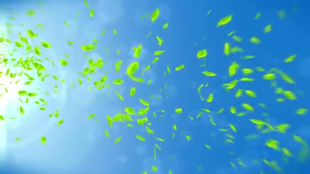 Folhas Verdes Frescas Caindo Fundo Azul Folha Confetti Animação Loop — Vídeo de Stock