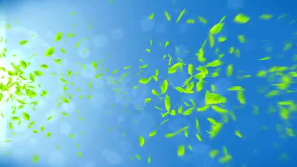 Foglie Verdi Fresche Che Cadono Sfondo Blu Confetti Foglie Animazione — Video Stock