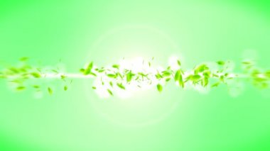 Taze yeşil yaprakları yeşil arka plan üzerine düşen. Cg yaprak konfeti. Döngü animasyonu.