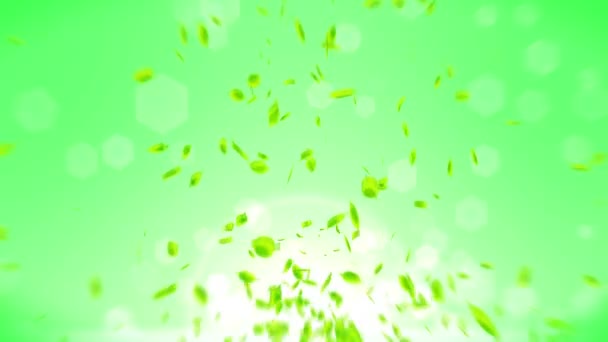 Foglie Verdi Fresche Che Cadono Sfondo Verde Confetti Foglie Animazione — Video Stock