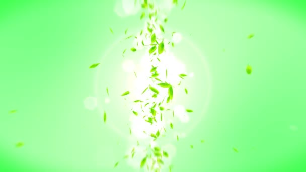 Fresh Green Leaves Falling Green Background Leaf Confetti Loop Animation — Stock Video