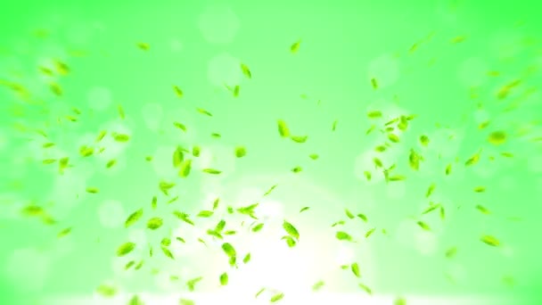 Folhas Verdes Frescas Caindo Fundo Verde Folha Confetti Animação Loop — Vídeo de Stock