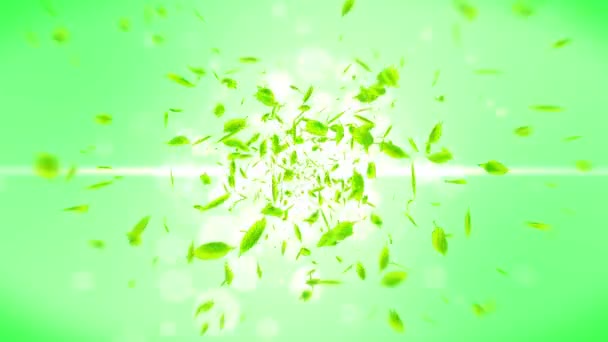 Fresh Green Leaves Falling Green Background Leaf Confetti Loop Animation — Stockvideo