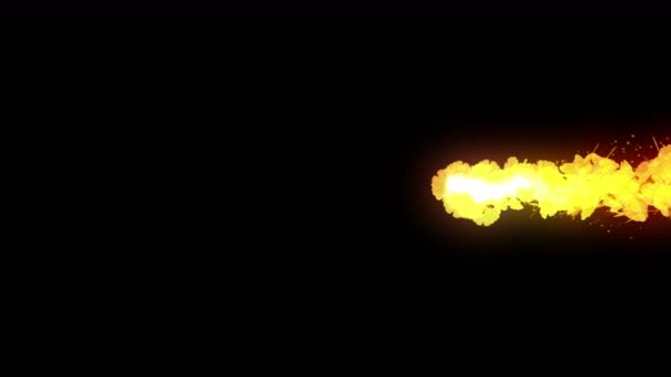 Спин Осенних Листьев Осенние Листья Фона Ginkgo Confetti Анимация Японская — стоковое видео