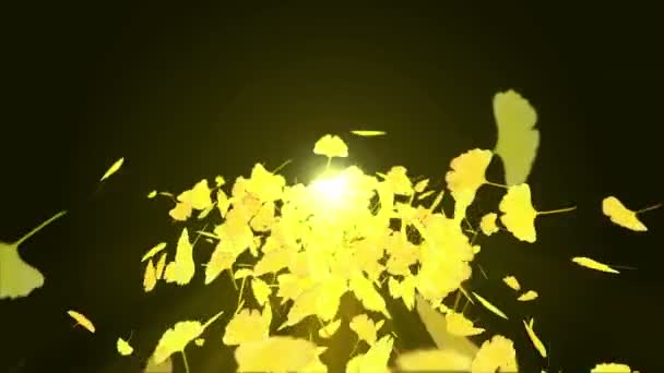 Tourner Des Feuilles Automne Automne Laisse Fond Animation Boucle Ginkgo — Video