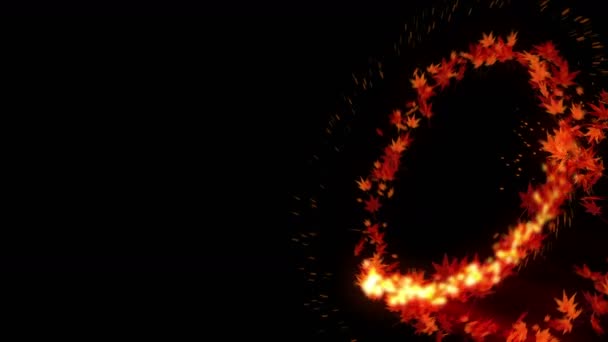 Спин Осенних Листьев Осенние Листья Фона Caple Confetti Animation Японская — стоковое видео