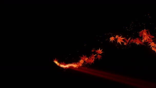 Spin Van Herfst Bladeren Herfst Bladeren Achtergrond Maple Confetti Animatie — Stockvideo