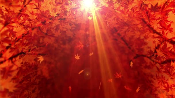 Schöne Herbstliche Landschaft Herbst Szene Hintergrund Ahornblätter Herbstwald Sonnenlicht Schleifenanimation — Stockvideo